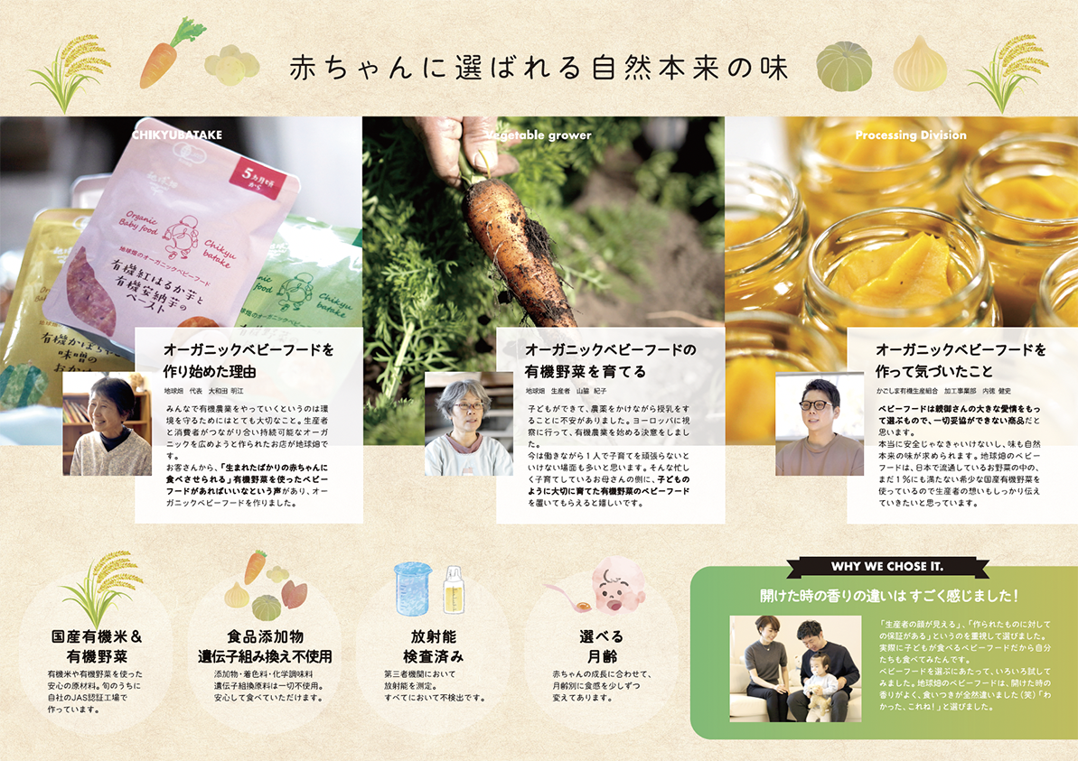 ナリドリンベビーリーフレット